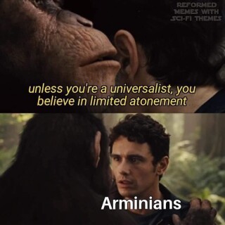 IMG_0005f0a5a27dce99cd8e