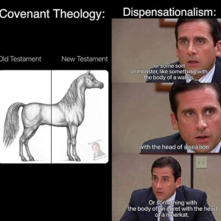 IMG_001540478d10b6d4fa0b