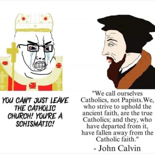 IMG_023796514a9c49d198e8